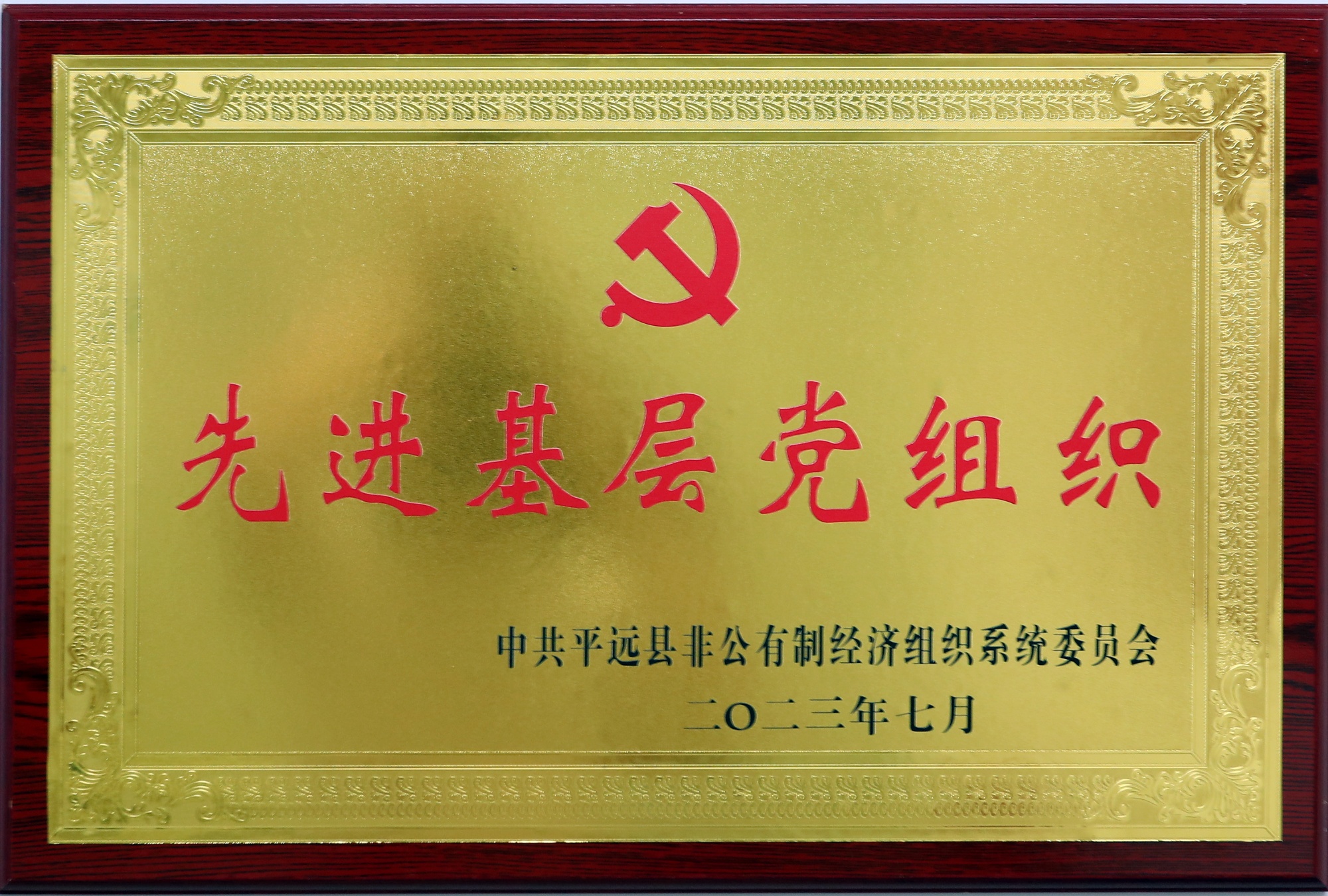 Advanced grass-roots party organizations